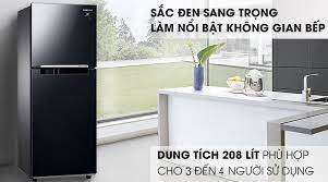 Tủ lạnh hai cửa Digital Inverter 208L